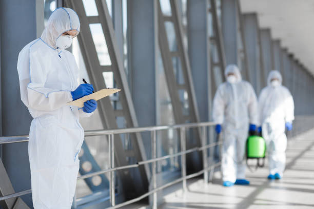 Best Biohazard Mold Removal  in Lackawanna, NY