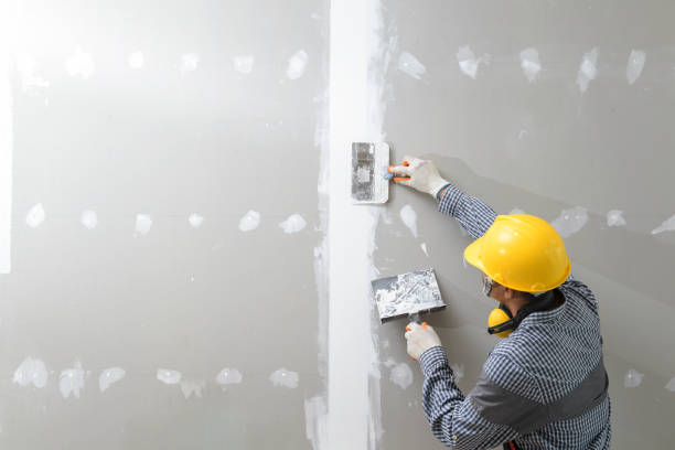 Best Airborne Mold Testing  in Lackawanna, NY