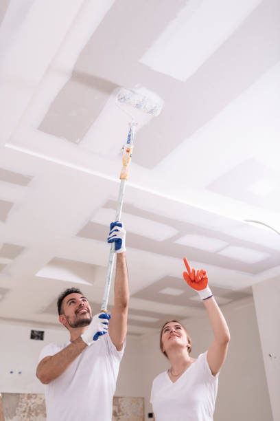 Best Mold Documentation for Insurance Claims  in Lackawanna, NY