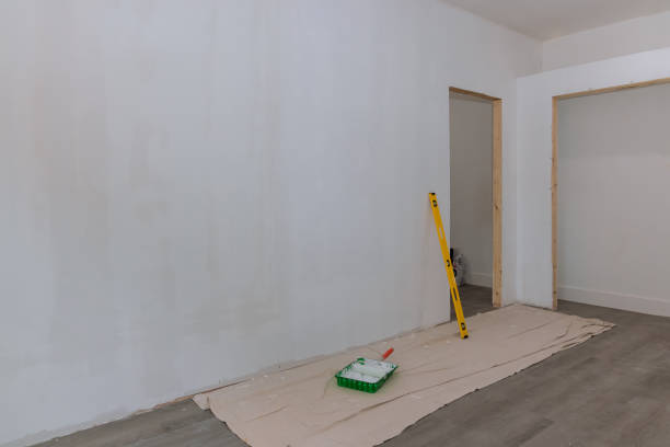 Best Basement Mold Removal  in Lackawanna, NY