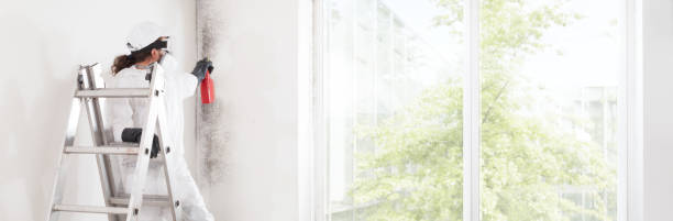 Best HVAC Mold Inspection and Cleaning  in Lackawanna, NY
